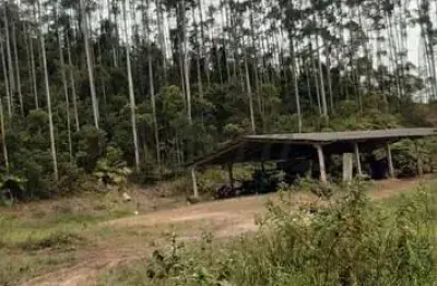 Fazenda à venda na expedicionários de itapeva, 1000, parque cimentolândia, itapeva, 242 m2 por r$ 16.250.000