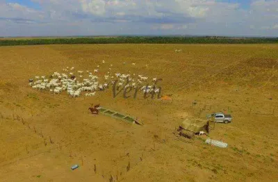 Fazenda à venda na rural, 1232, setor central, guaraí, 305 m2 por r$ 8.500.000