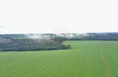 Fazenda à venda na governador júlio campos, 150, setor comercial, sinop, 616 m2 por r$ 107.000.000