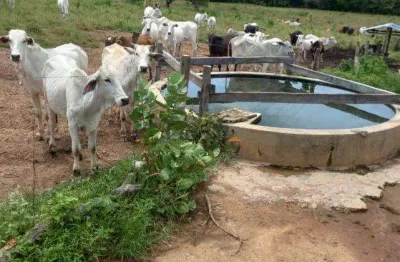 Fazenda à venda na manoel athaide, sn, são gonçalo, janaúba, 431 m2 por r$ 4.000.000