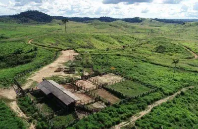 Fazenda à venda na rural, sn, uirapuru, novo repartimento, 8890 m2 por r$ 35.000.000