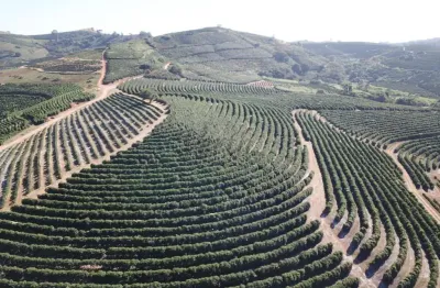 Fazenda à venda na praça coronel gustavo ribeiro, 63, 1000, centro, caconde, 406 m2 por r$ 45.000.000