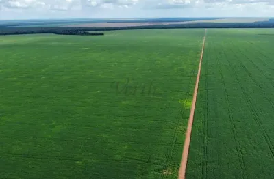 Fazenda à venda na rua dionizio cerqueira 259 lote n, 1000, centro, feliz natal, 1000 m2 por r$ 121.000.000