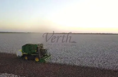 Fazenda à venda no centro, nova mutum , 3300 m2 por r$ 308.000.000