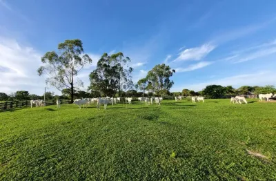 Fazenda à venda na rua floriano lima 71, 1000, centro, arinos, 202 m2 por r$ 2.500.000