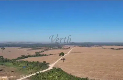 Fazenda à venda na rua quinze de novembro 297, 1000, santa luzia, novo progresso, 1700 m2 por r$ 135.000.000