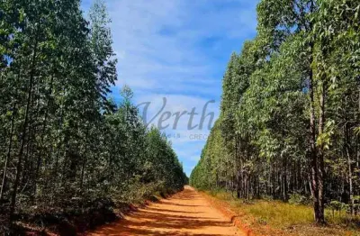 Fazenda à venda na rua pedro petinga, centro, divisópolis, 4200 m2