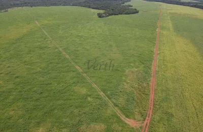 Fazenda à venda na travessa b, 100, centro, novo são joaquim, 1826 m2 por r$ 40.000.000