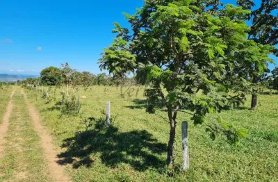 Fazenda à venda na Veriano de Oliveira Lima, 1000, Centro, Jataí, 2000 m2 por R$ 62.000.000