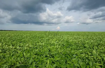 Fazenda à venda na Rua Paraná, 1113, Centro, Gaúcha do Norte, 5512 m2 por R$ 130.000.000