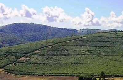 Fazenda à venda na Avenida Anel Rodoviário, 1000, Centro, Capelinha, 970 m2 por R$ 120.000.000