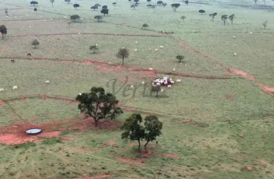 Fazenda à venda na Vital Brasil, 1000, Centro, Ponta Porã, 885 m2 por R$ 34.000.000