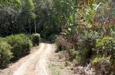 Propriedade rural 65 mil m² em pinhalzinho/sp e pedra bela ? curral, pastagem e ribeirão