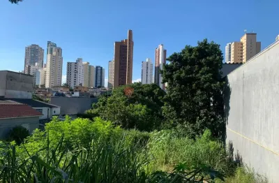 Terreno comercial à venda na Avenida Regente Feijó, 483, Jardim Anália Franco, São Paulo