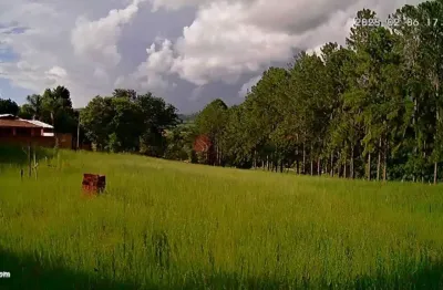 Chácara / sítio com 3 quartos à venda na R Milao, 161, Serra Italiana, Pardinho