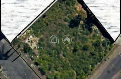 Terreno comercial para alugar na Rua Amélia Naves, Palmeiras, Belo Horizonte