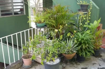 Apartamento à venda com 74,00m² e 2 quartos em piedade, rio de janeiro - rj