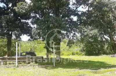 Chácara / sítio com 8 quartos à venda na Estrada da Soledade, Taquara, Duque de Caxias