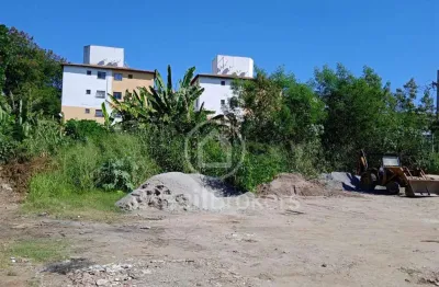 Terreno à venda na Avenida Doutor Eugênio Borges, Tribobó, São Gonçalo