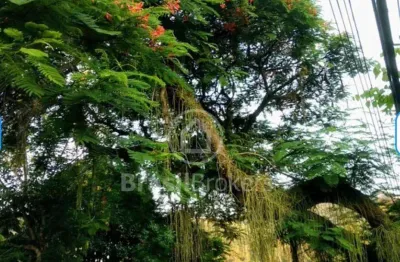 Terreno à venda na Rua Assis Republicano, Freguesia (Jacarepaguá), Rio de Janeiro