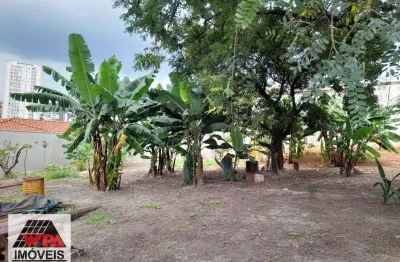 Terreno comercial para alugar no Centro, Americana 