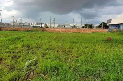 Terreno comercial à venda no Loteamento Residencial Jardim dos Pinheiros, Americana 