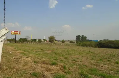 Terreno comercial à venda no Bairro da Lagoa, Americana 
