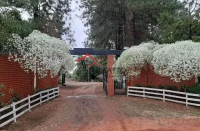 Chácara / sítio com 2 quartos à venda no Novo Jardim Pagani, Bauru 