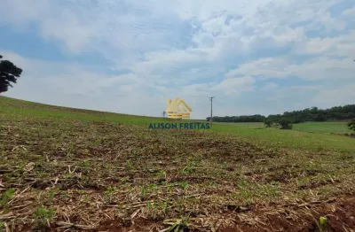 Fazenda à venda na Estrada áGua Do Sabão, Centro, Ibiporã