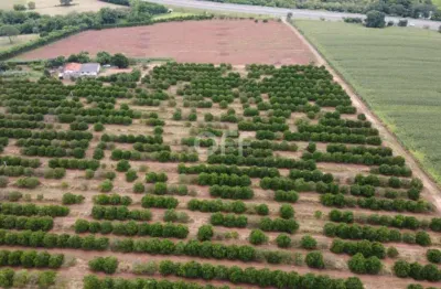 Terreno comercial à venda na rodovia sp-147, km70, jardim primavera, mogi mirim por r$ 2.800.000