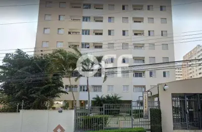 Apartamento com 2 quartos à venda na rua francisco bueno lacerda, 250, parque itália, campinas, 55 m2 por r$ 230.000