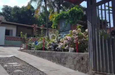 Chácara / sítio com 2 quartos à venda na rua ruth hesse, 31, chácaras cruzeiro do sul, campinas, 1000 m2 por r$ 650.000