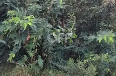 Terreno à venda na rua antônio alves bueno de oliveira, jardim são vicente, campinas por r$ 280.000