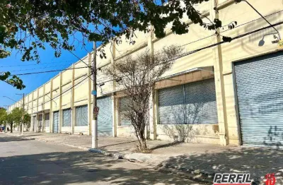 Barracão / Galpão / Depósito para alugar na Vila Ribeiro de Barros, São Paulo 