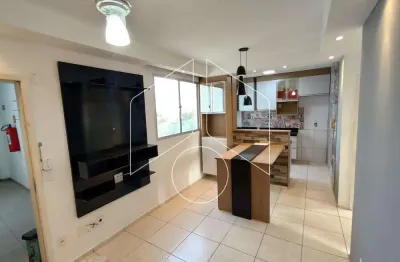 Apartamento com 2 quartos para alugar na Avenida Doutor Hércules Galletti, 4138, Jardim Califórnia, Marília