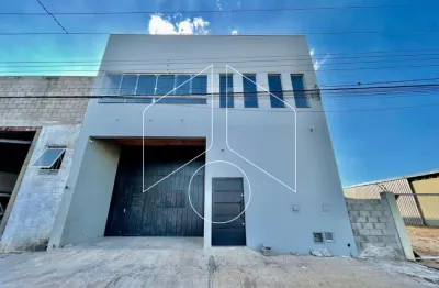Barracão / Galpão / Depósito para alugar na Avenida Archimedes Manhães, 5141, Parque das Indústrias, Marília