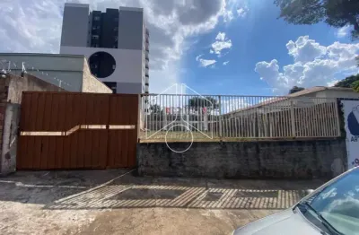 Terreno comercial para alugar na Avenida Santo Antônio, 66, Alto Cafezal, Marília