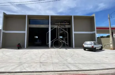 Barracão / Galpão / Depósito para alugar na Rua Miguel Duca Aguiar, 759, Residencial Vida Nova Maracá (Padre Nobrega), Marília