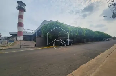 Barracão / Galpão / Depósito para alugar na Rua Carlos Tosin, 10308, Distrito Industrial, Marília