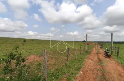 Terreno comercial para alugar na Avenida Sampaio Vidal, 72, Centro, Marília