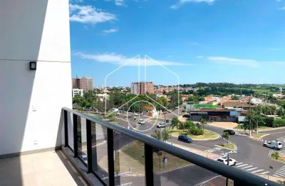 Apartamento com 1 quarto para alugar na Rua das Roseiras, 2098, Fragata, Marília