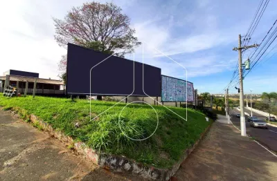 Terreno comercial para alugar na Avenida Sampaio Vidal, 86, Barbosa, Marília