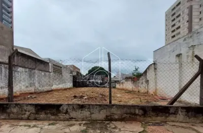 Terreno comercial para alugar na Rua Sete de Setembro, 2109, Alto Cafezal, Marília