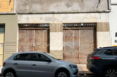 Barracão / Galpão / Depósito para alugar na Rua Doutor Joaquim de Abreu Sampaio Vidal, 586, Alto Cafezal, Marília