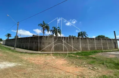 Terreno comercial para alugar na Rua Tupã, 100, Senador Salgado Filho, Marília