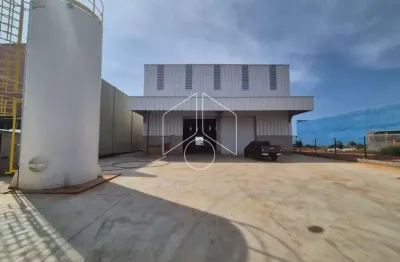 Barracão / Galpão / Depósito para alugar na Rua Carlos Tosin, 592, Distrito Industrial, Marília