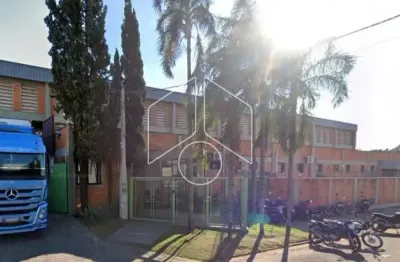 Barracão / Galpão / Depósito para alugar na Rua Assad Haddad, 6084, Parque das Indústrias, Marília