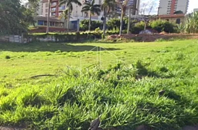 Terreno comercial para alugar na Rua Doutor Gabriel Monteiro da Silva, 54, Jardim Dirceu, Marília