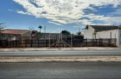 Terreno comercial para alugar na Rua Benedito Alves Delfino, 95, Distrito Industrial, Marília