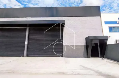 Barracão / Galpão / Depósito para alugar na Avenida Antonieta Altenfelder, 4143, Jardim Santa Antonieta, Marília